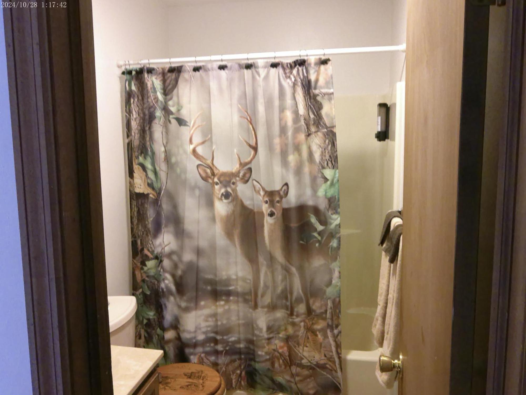 Serenity And Fun All In One In This Cozy Pocono Cabin Jim Thorpe Exteriér fotografie
